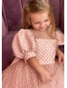 Blush Polka Dotted Lace Sweet Flower Girl Dress Blush Polka Dotted Lace Sweet Flower Girl Dress